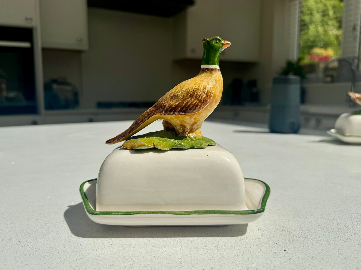 Hand Painted Pheasant Ceramic Butter Dish