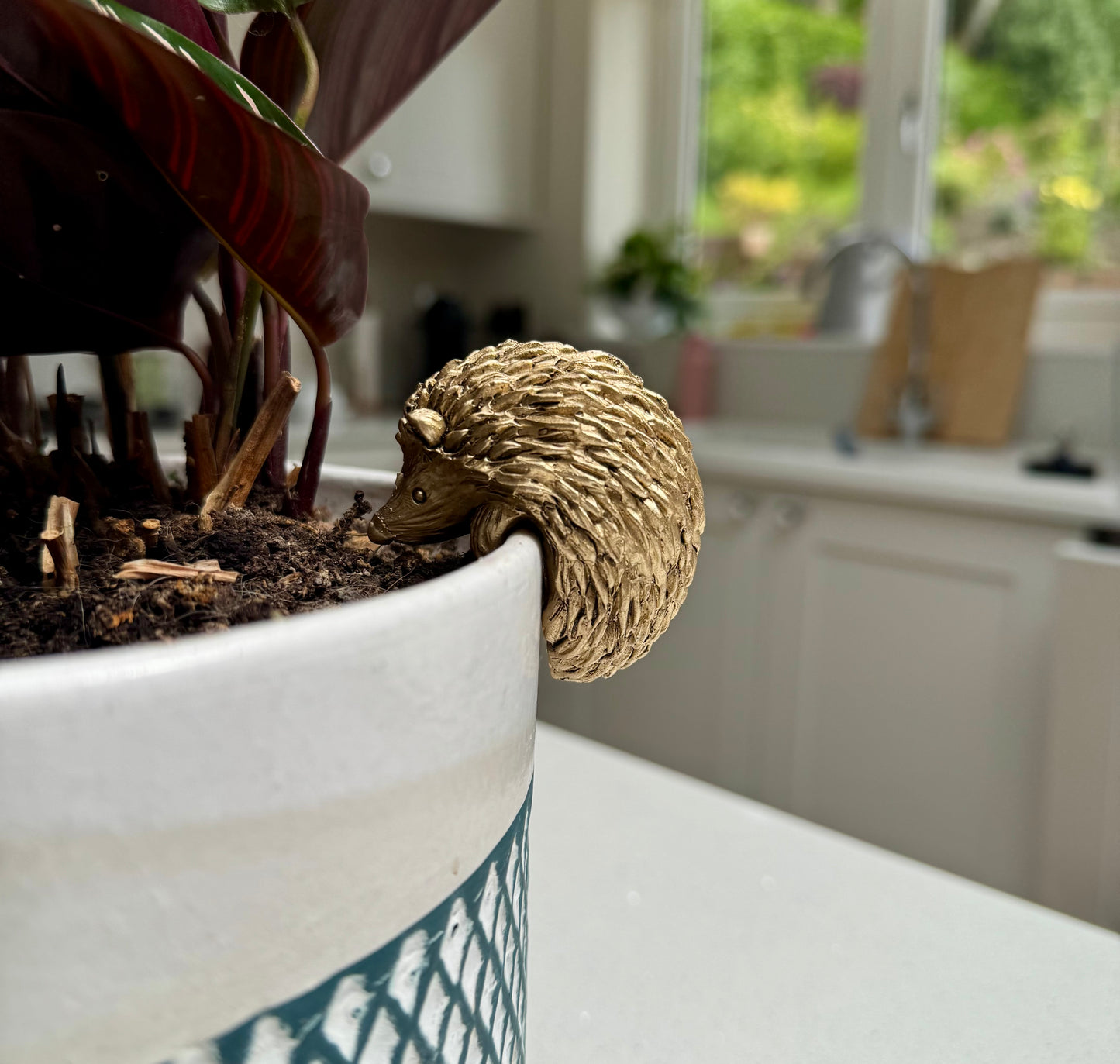 Hedgehog Pot Hanger
