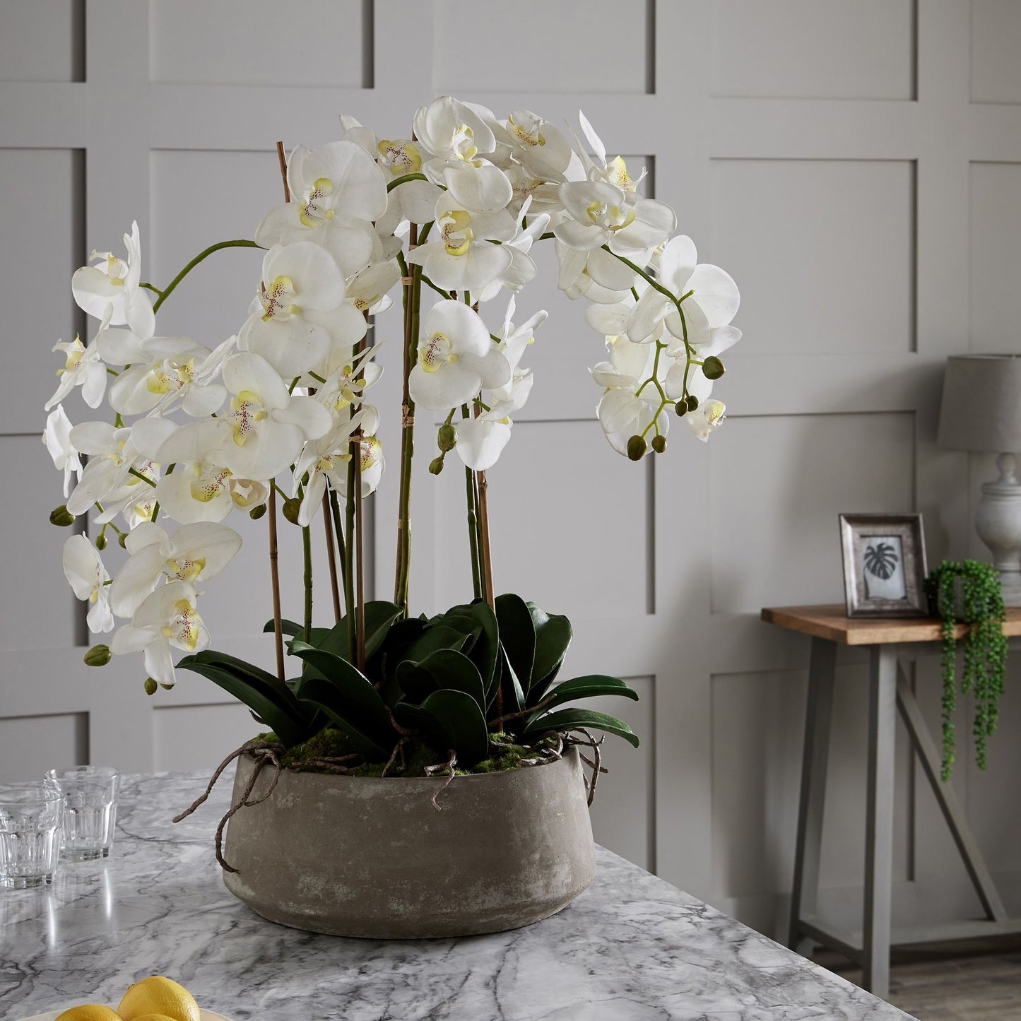 Grande orchidée blanche dans un pot en pierre
