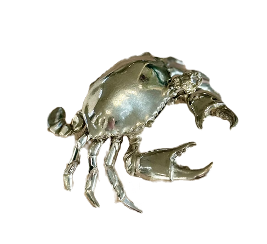 Pot de sel de crabe avec cuillère
