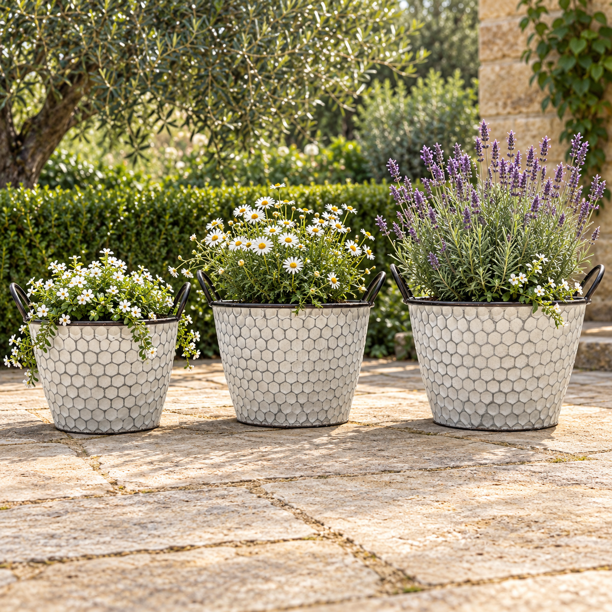 Vintage Honeycomb Galvanised Metal Planters