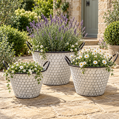 Vintage Honeycomb Galvanised Metal Planters