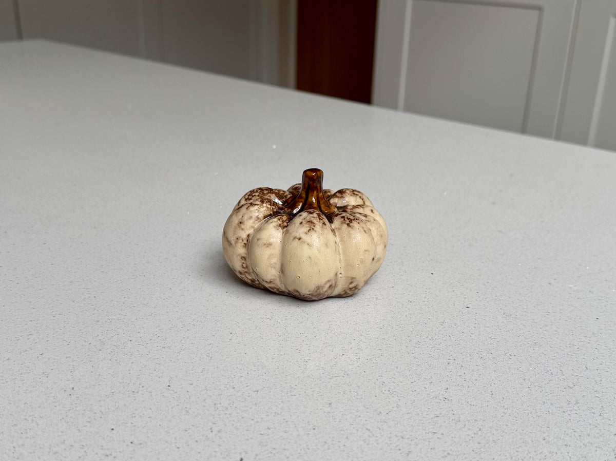 Natural Ceramic Pumpkin with Glazed Brown Stem – 9cm