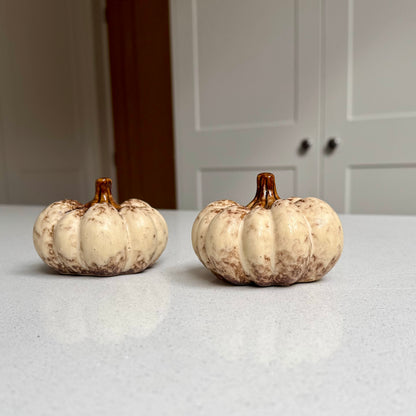 Natural Ceramic Pumpkin with Glazed Brown Stem – 9cm