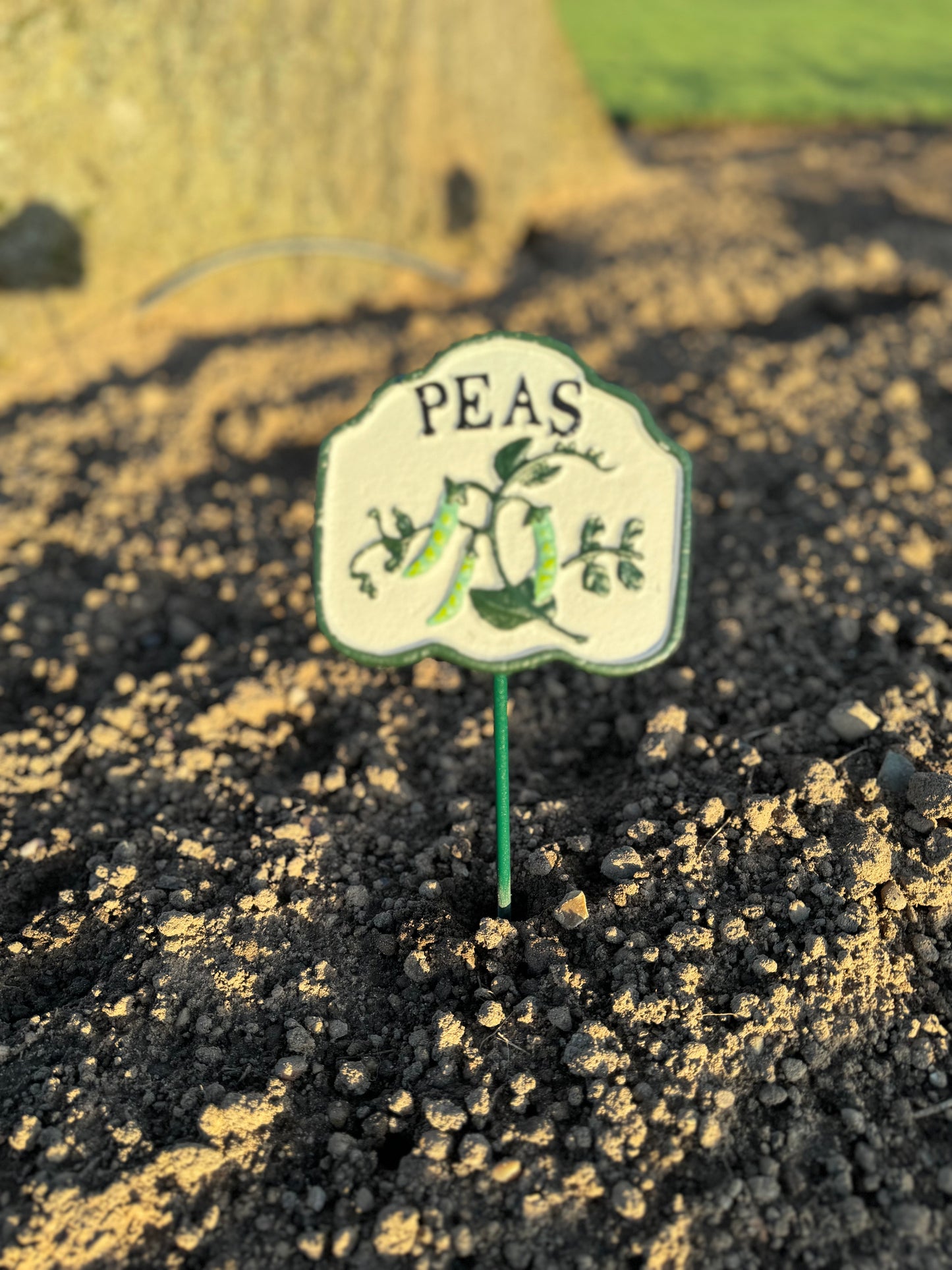 Vegetable Cast Iron Marker Signs - Set of 7