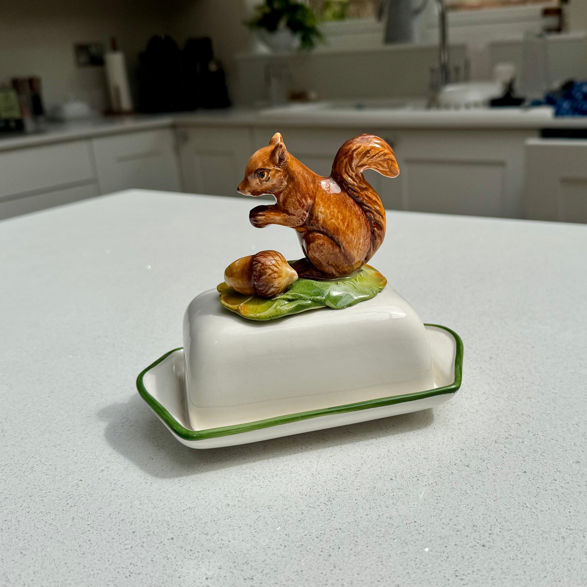 Woodland squirrel butter dish in hand-painted ceramic