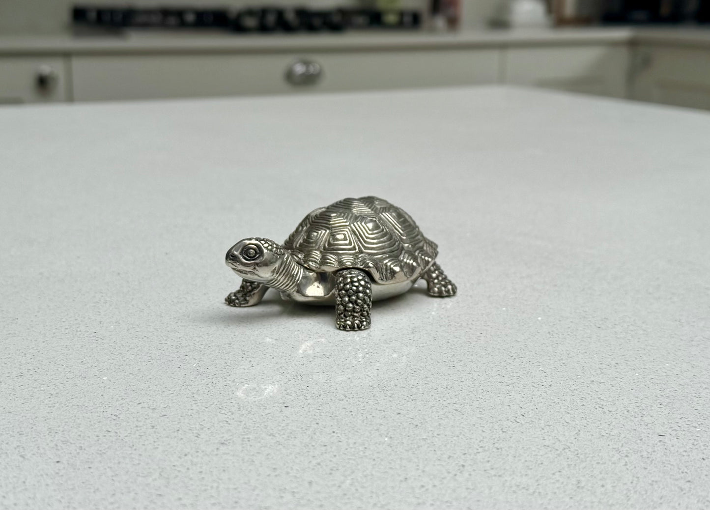 Pewter Turtle Decorative Keepsake Box