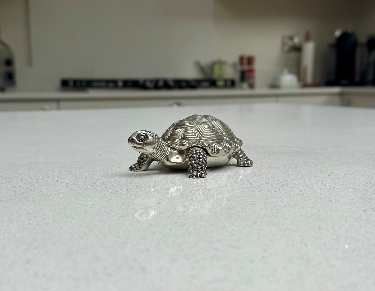 Pewter Turtle Decorative Keepsake Box