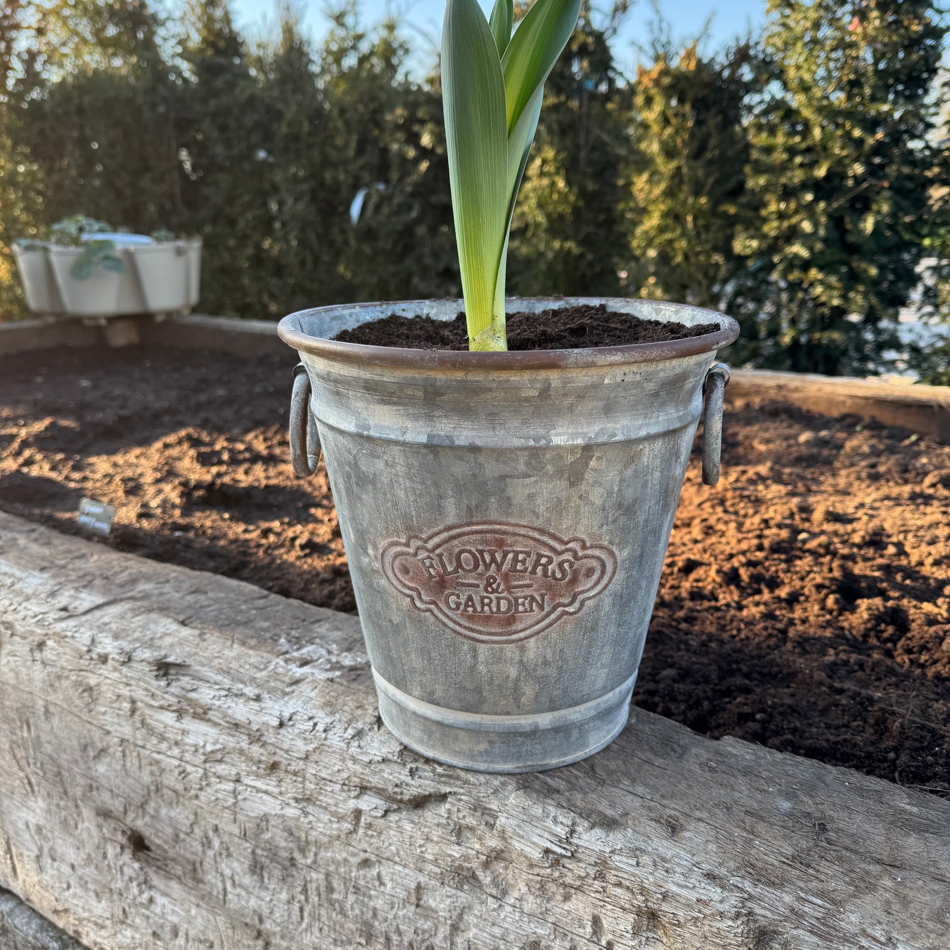 Galvanised Metal Planter 23cm