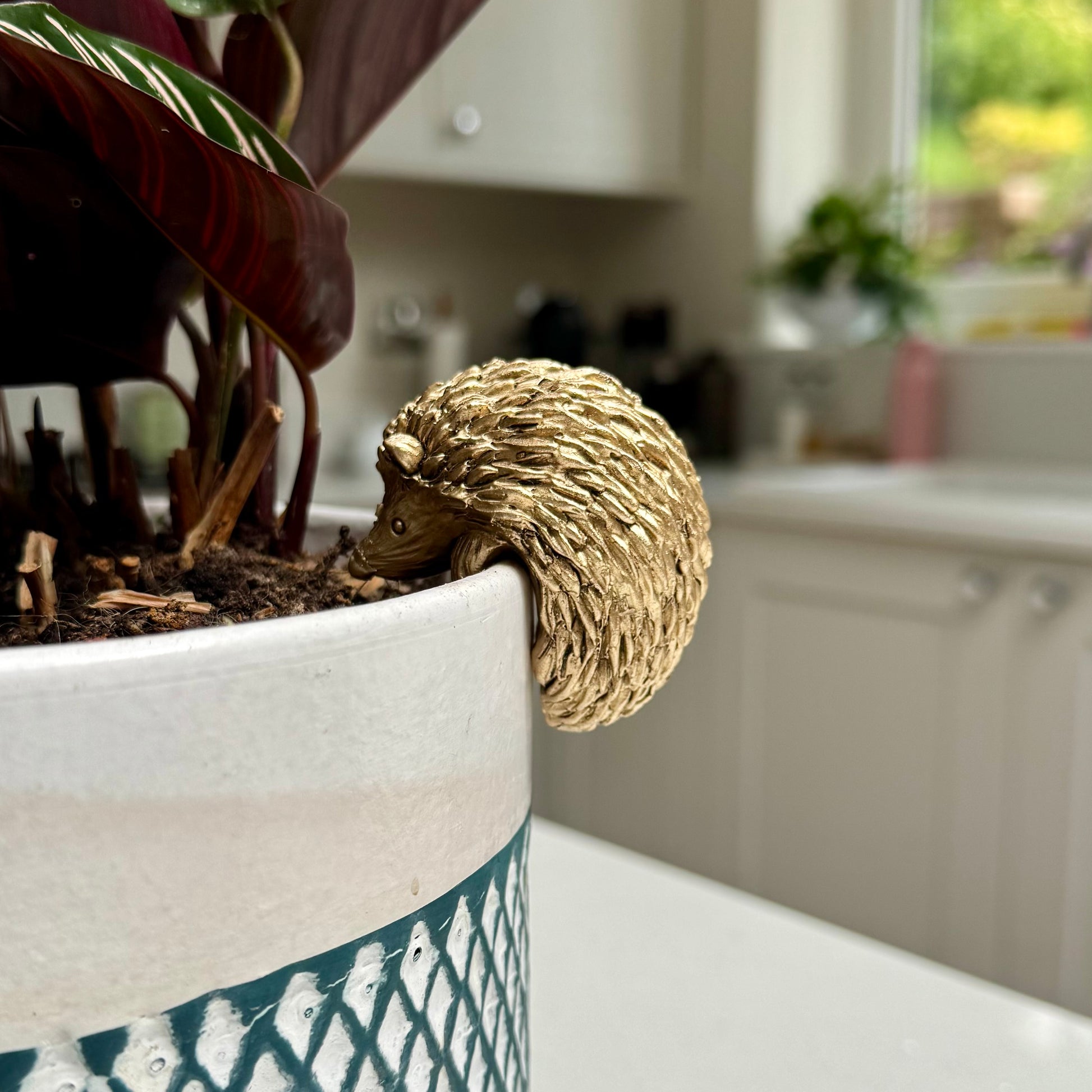 Hedgehog Pot Hanger – Planter