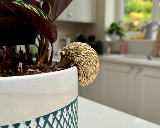 Hedgehog Pot Hanger