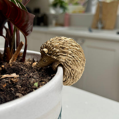 Hedgehog Pot Hanger – Planter