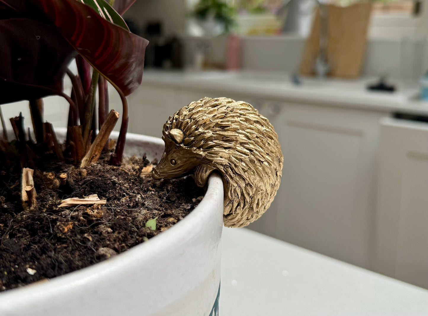 Hedgehog Pot Hanger