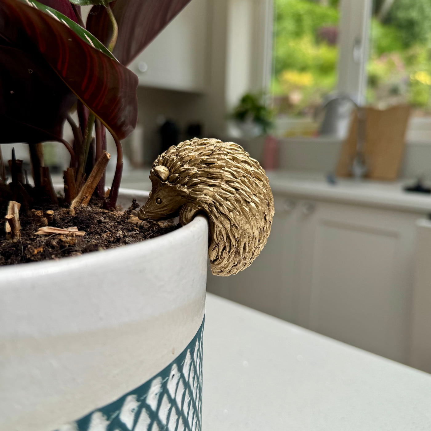 Hedgehog Pot Hanger – Planter