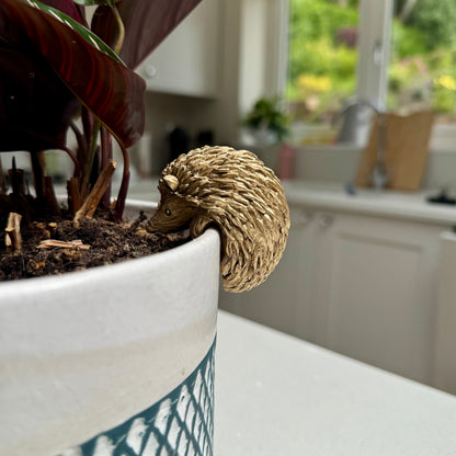 Hedgehog Pot Hanger – Planter