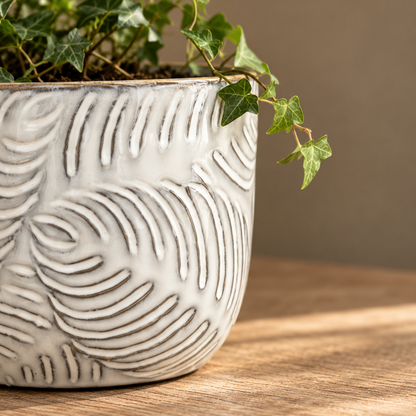 Embossed Leaf Ceramic Planter – Small or Medium