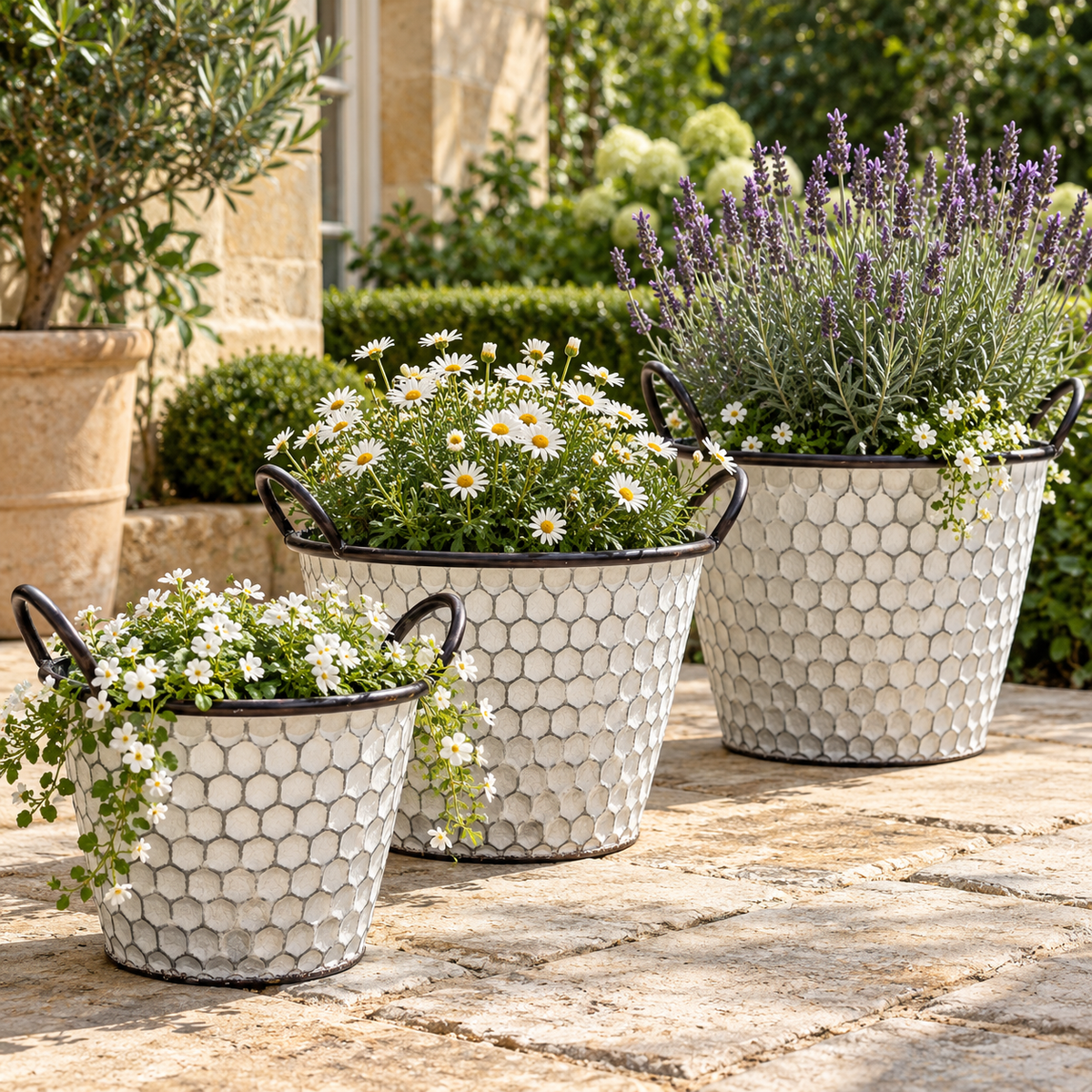 Vintage Honeycomb Galvanised Metal Planters