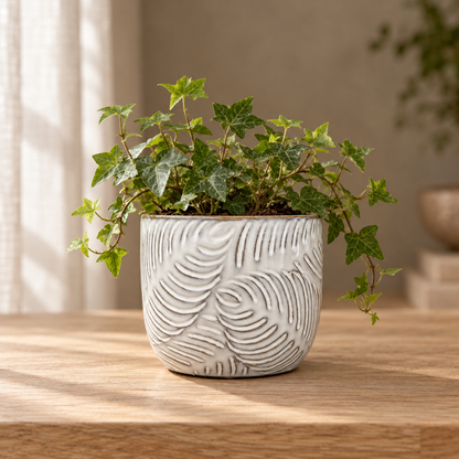 Embossed Leaf Ceramic Planter – Small or Medium