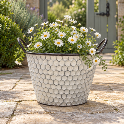 Vintage Honeycomb Galvanised Metal Planters