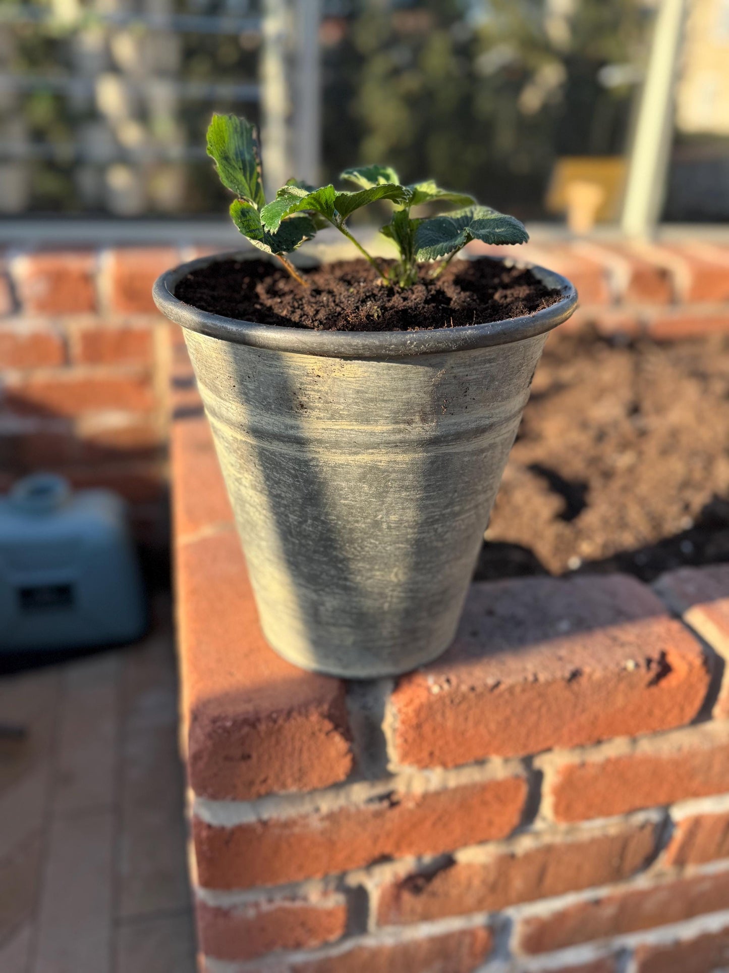 Metal Outdoor Planter - 23cm