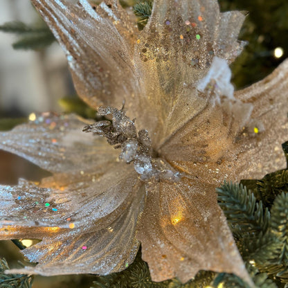 Champagne Poinsettia Flower with stem
