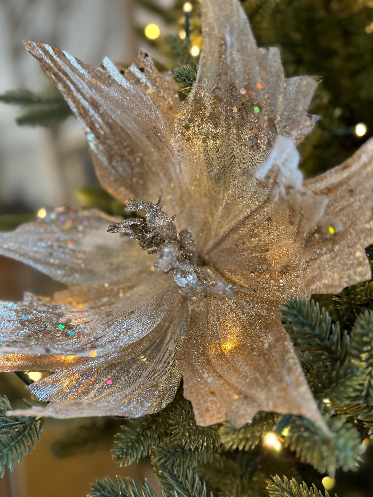 Champagne Poinsettia Flower with stem