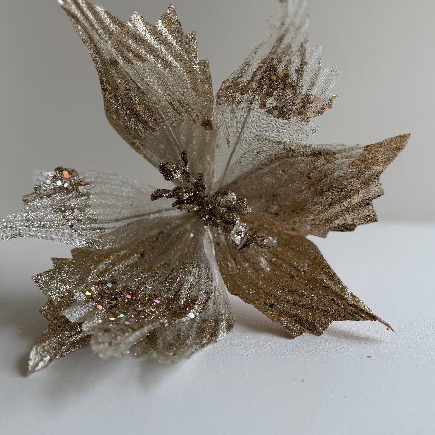 Champagne Poinsettia Flower with stem