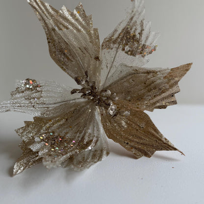 Champagne Poinsettia Flower with stem
