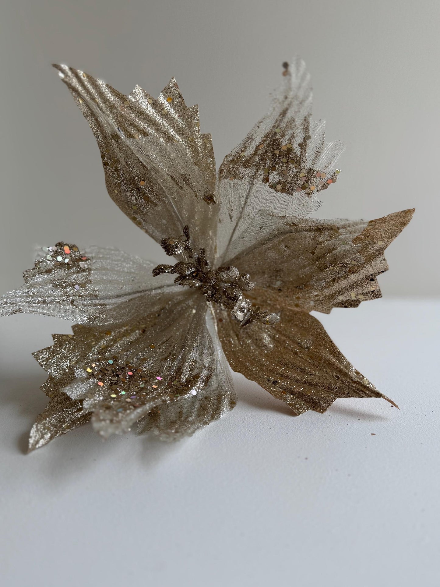 Champagne Poinsettia Flower with stem