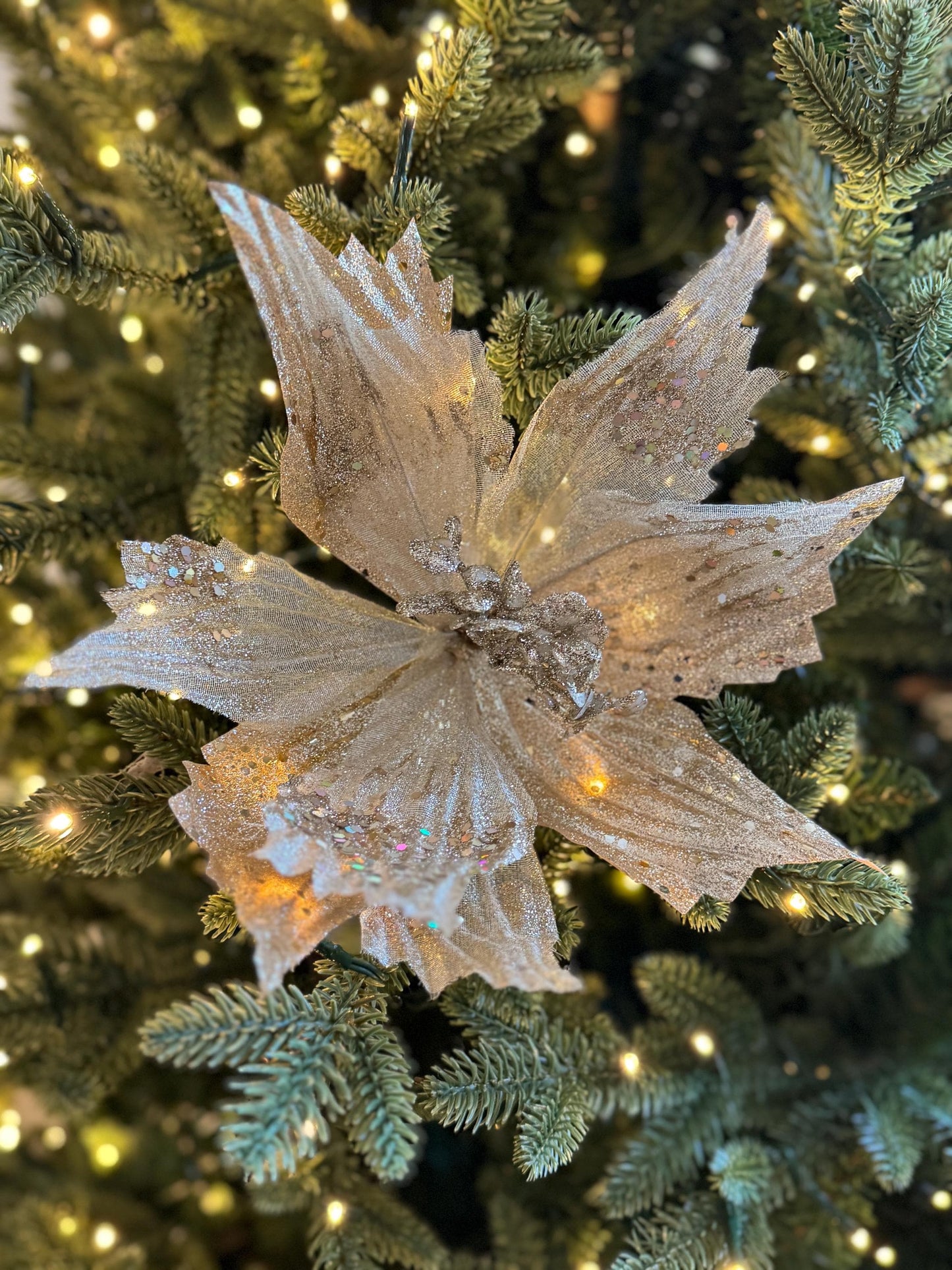 Champagne Poinsettia Flower with stem