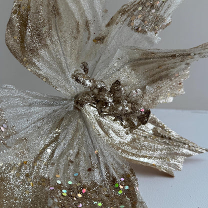 Champagne Poinsettia Flower with stem