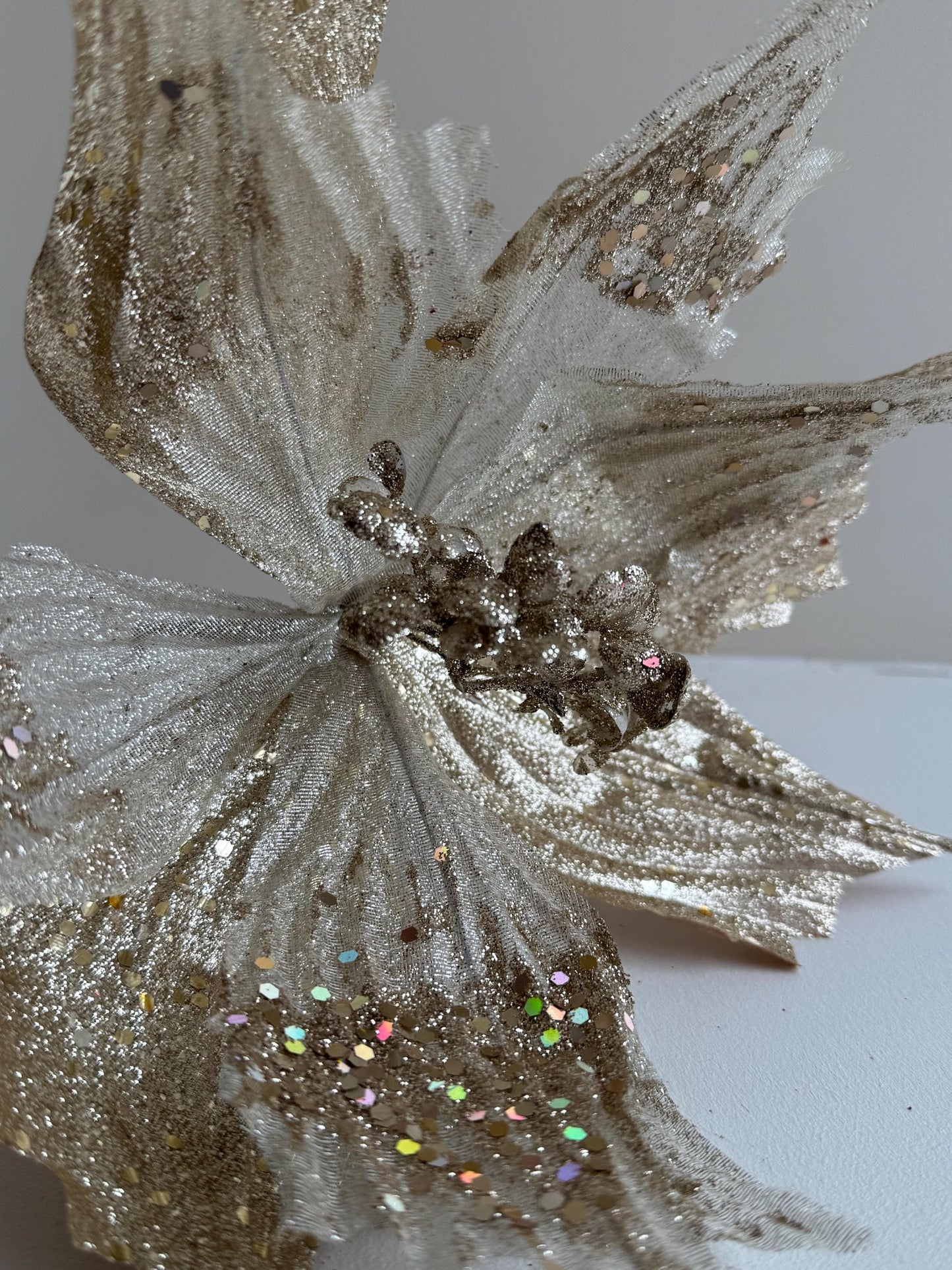 Champagne Poinsettia Flower with stem