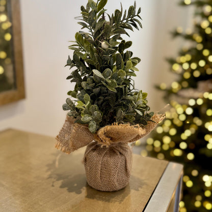 Mini Frosted Eucalyptus Tree – 25cm Rustic Winter Tabletop Decoration with Burlap Base