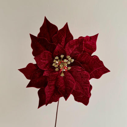 Red Velvet Poinsettia with Gold Glitter Centre – Stem