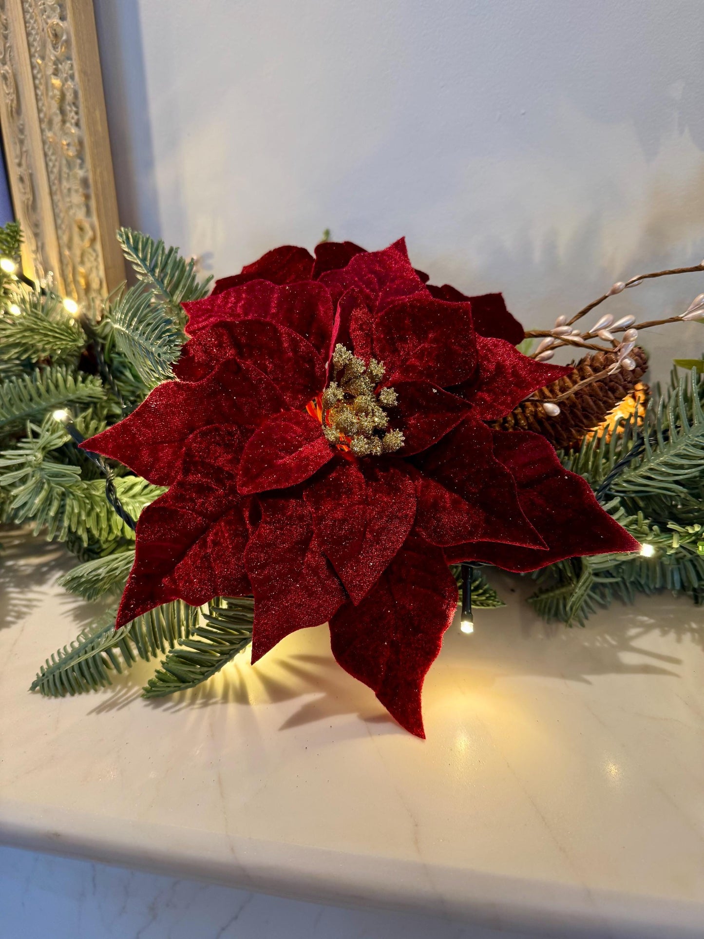 Red Velvet Poinsettia with Gold Glitter Centre