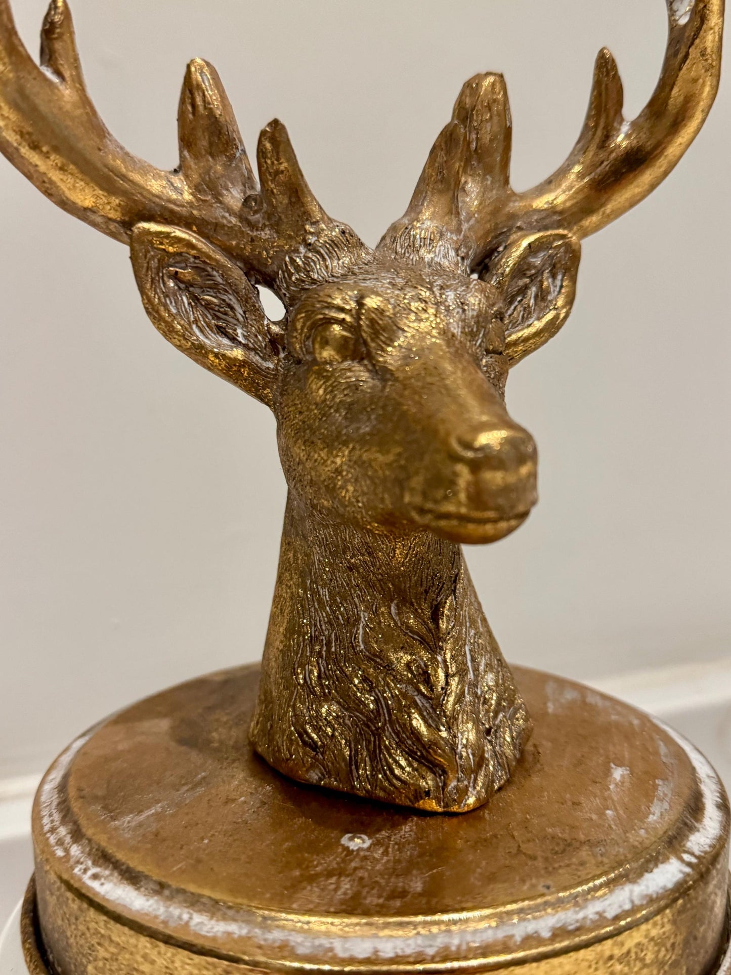 Stag Head Glass Jar