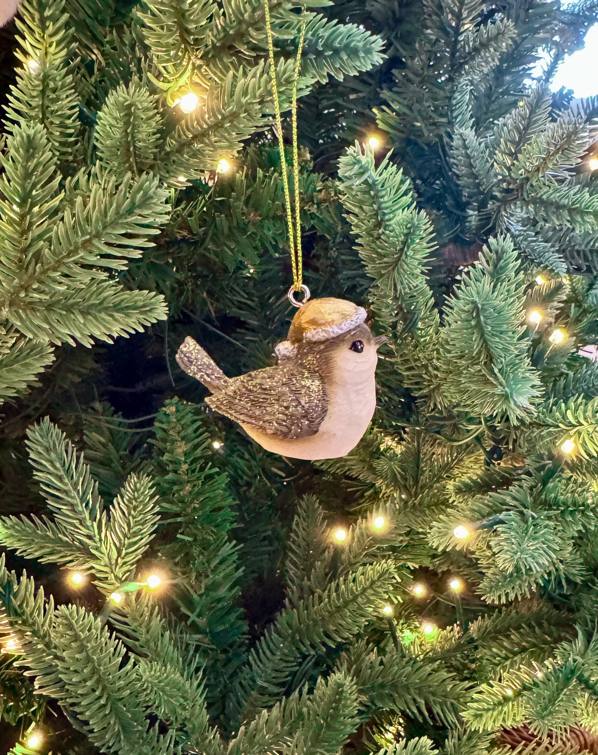 e0daee1c-7ecf-4593-a15e-dd8b599e0deb